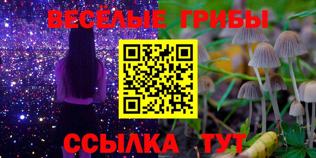 Галлюциногенные грибы GOLDEN TEACHER Славгород
