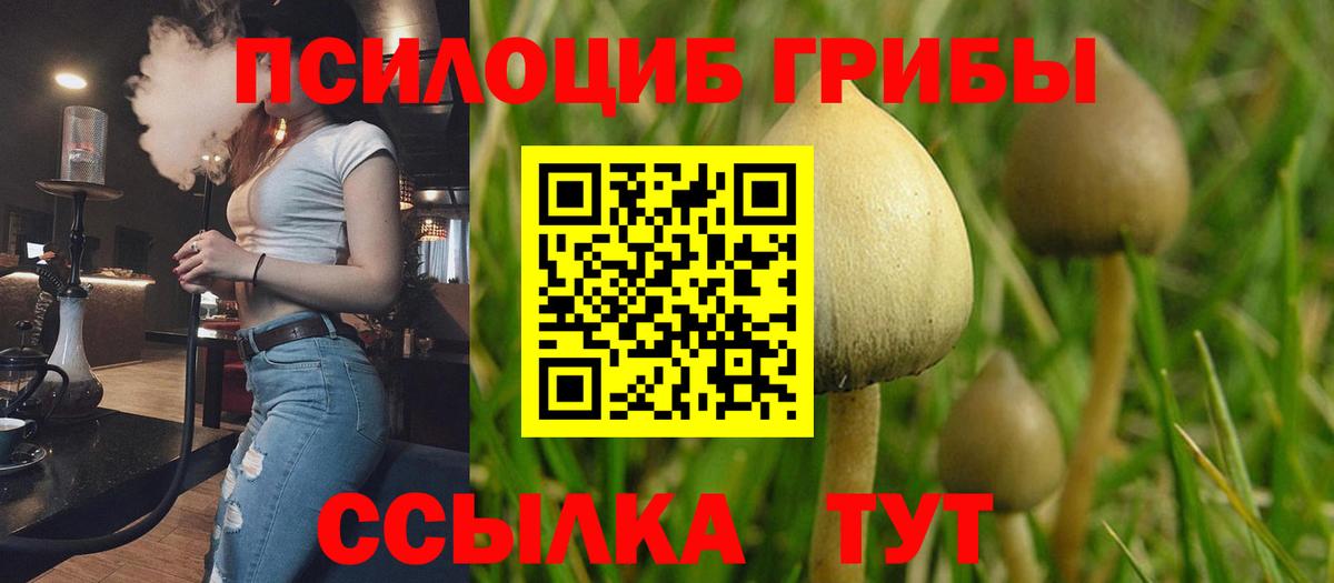 Славгород  закладки  Галлюциногенные грибы мицелий  Вход с VPN  Галлюциногенные грибы мухоморы 