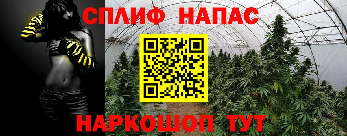 Канабис AK-47 Славгород