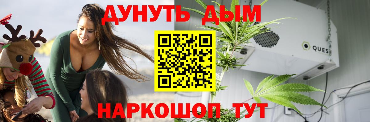 Марихуана VHQ  Вход с VPN  МАРИХУАНА THC 21%  Славгород  Шишки марихуана Bruce Banner 